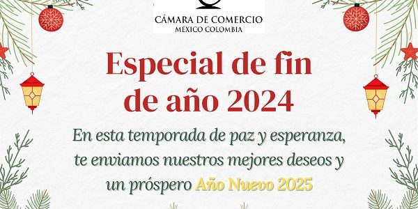 ESPECIAL DE FIN DE AÑO 2024